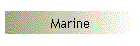 Marine